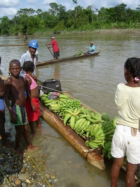 actividad económica de la cultura afrocolombiana