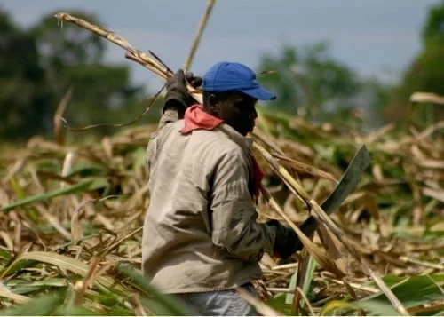 asentamientos de la cultura afrocolombiana Cauca