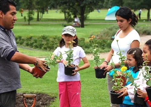 Cultura Ambiental Cultura Ambiental