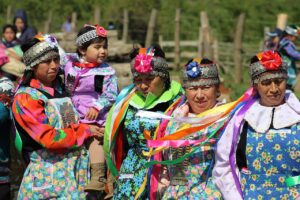 Cultura Mapuche