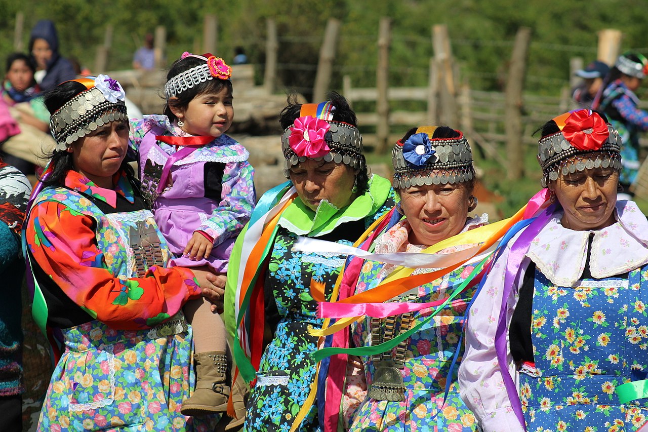 Cultura Mapuche