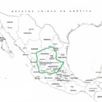 Organización Chichimeca