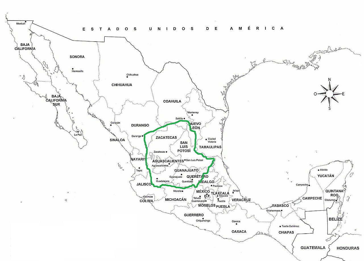 Organización Chichimeca