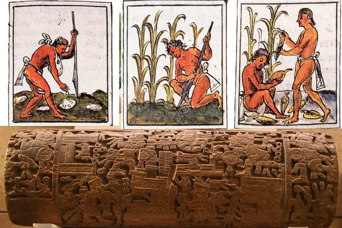 Agricultura de los mesoamericanos
