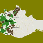 Lenguamixteca