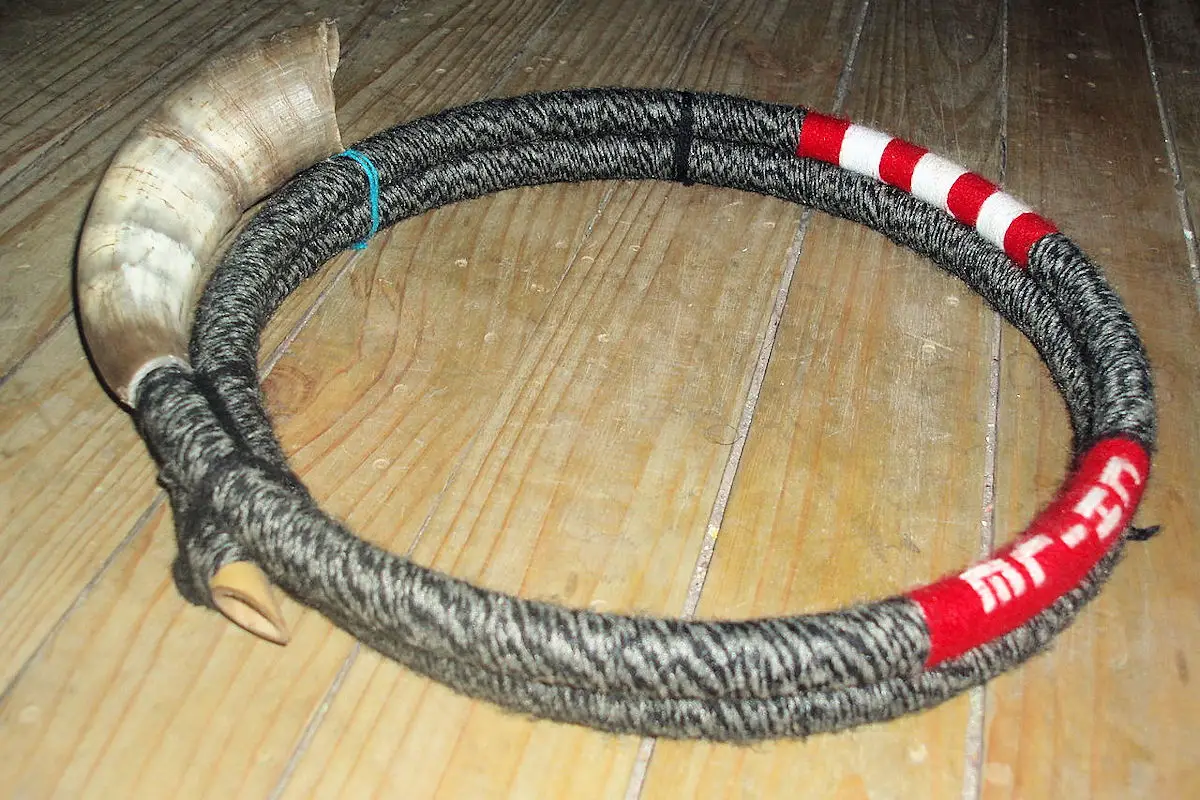 Instrumentos mapuches