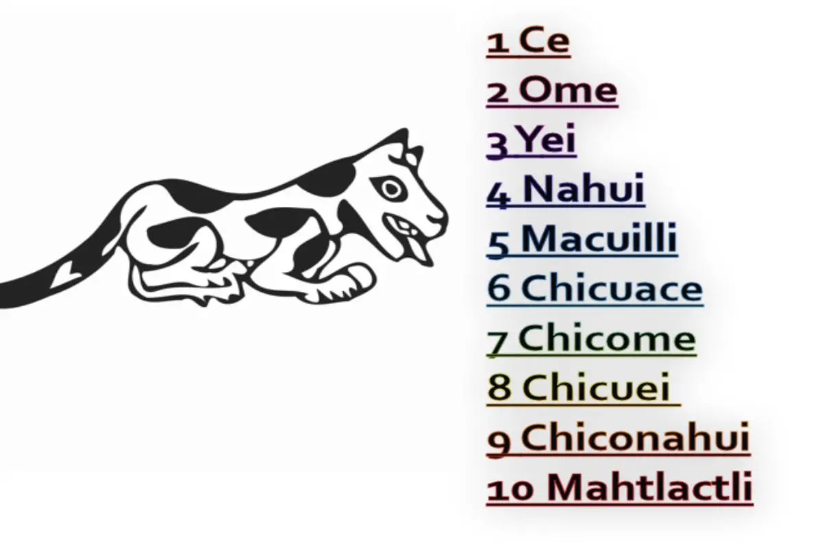 Números Náhuatl