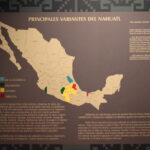 organización social náhuatl