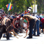 Juegos mapuches