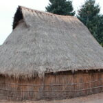 Ruca Mapuche