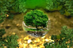 Cultura Ambiental