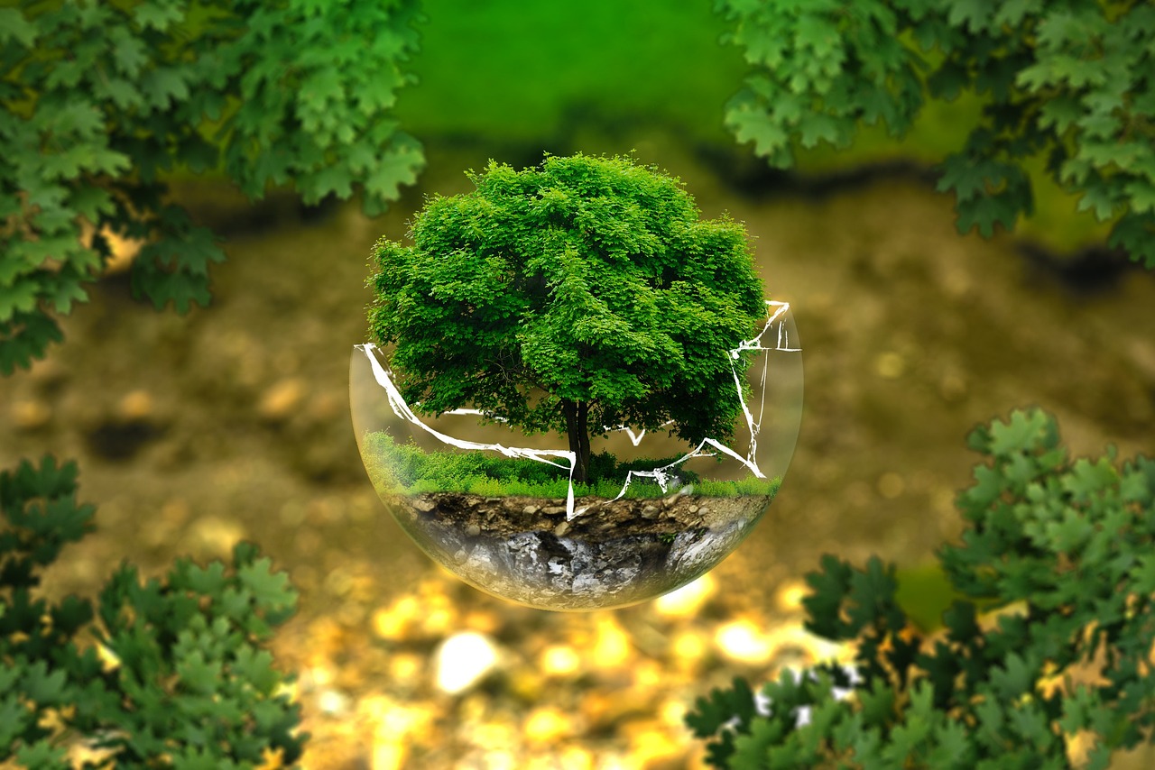 Cultura Ambiental