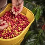 Economía Colombiana.