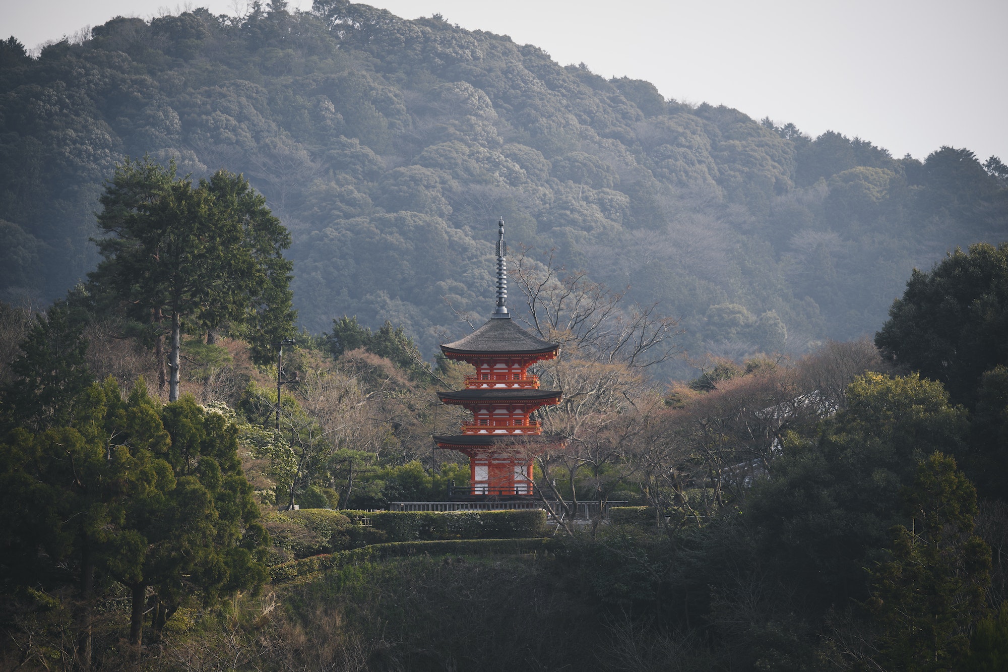 Cultura Japonesa. Foto por Envato.